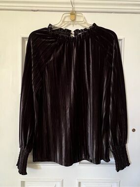 NWOT Velvet Black Pleated Long-Sleeve Top